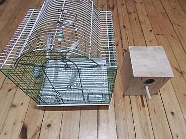 taxta yuva: Quş qəfəsi və yuvalıq dəsti - Rəng: yaşıl-ağ metal karkaslı qəfəs, ağ — 2