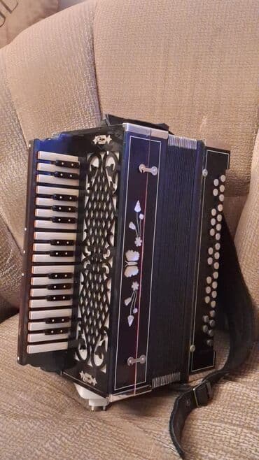 Digər musiqi alətləri: Akustik Akkordeon — 4