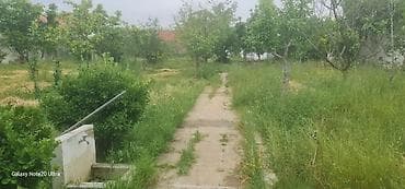 Tikinti, Kupça (Çıxarış) — 2