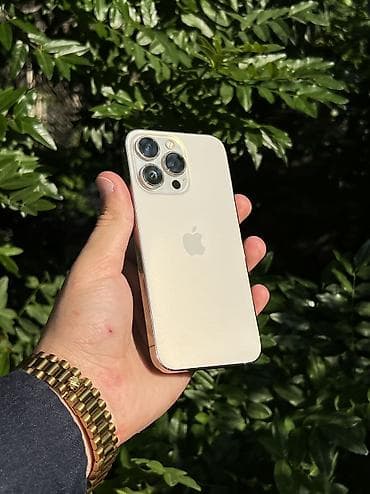 iphone 8s plus: IPhone 13 Pro, 128 GB, Qızılı, Face ID, Simsiz şarj, Zəmanət — 1