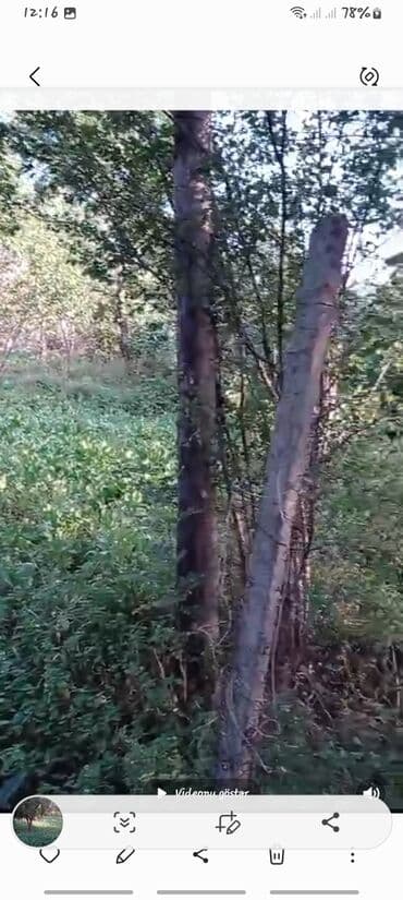 купить дом в азербайджане баку: 5 соток, Для строительства, Собственник, Купчая, Бялядия (муниципалитет) — 3