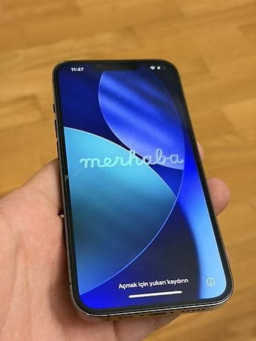 ayfon x plus: IPhone 13 Pro, Graphite, Face ID — 1