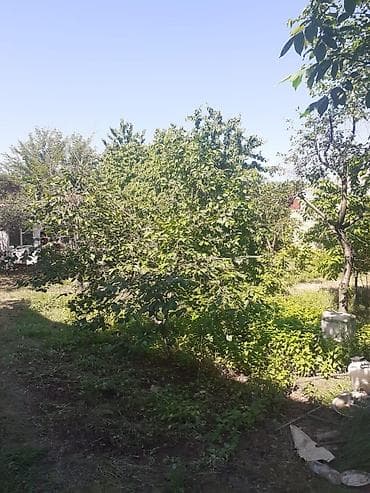 lan: 7 sot, Kupça (Çıxarış) — 3