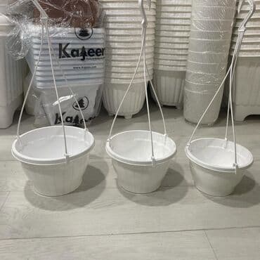 Digər bitkilər: Dibçək. Müxtəlif ölçü və modellər mövcuddur. Fərqli qiymətlərdədir — 22