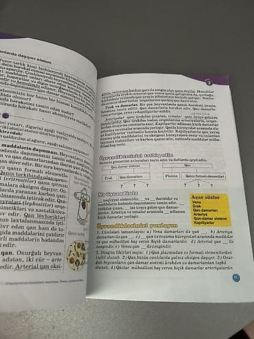 Спорт и хобби: İçinde marker müəllimin qeydleri var.Seliqelidir sadece üstünde balaca — 2