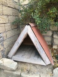 Yemlər: Satılır ciddi alcılar yazsın — 1