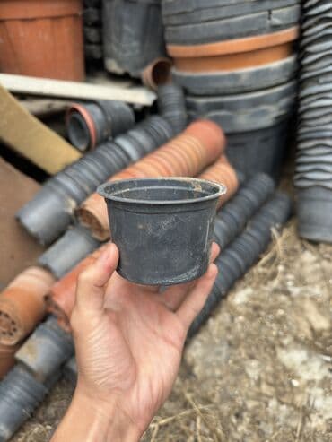 1 eded qizil gul qiymeti: Tecili satılır . Balaca qablar 0.25 qəpik Qırmızı balaca qab 0.40 — 4