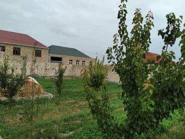 баку недвижимость: Torpaq Gəncə hava limanının yaxınlığında yerləşir.Qaz,su,işıq və — 3