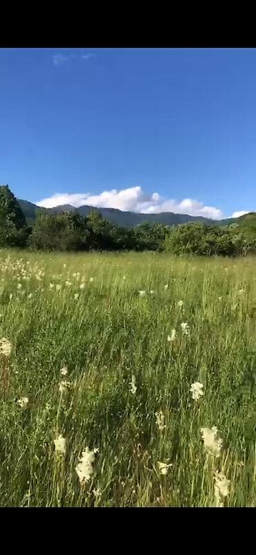 torpağ satışı: 52 sot, Kənd təsərrüfatı, Mülkiyyətçi, Kupça (Çıxarış) — 6