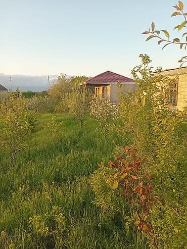 kənd əhmədli: 6 sot, Biznes üçün, Mülkiyyətçi, Kupça (Çıxarış) — 5