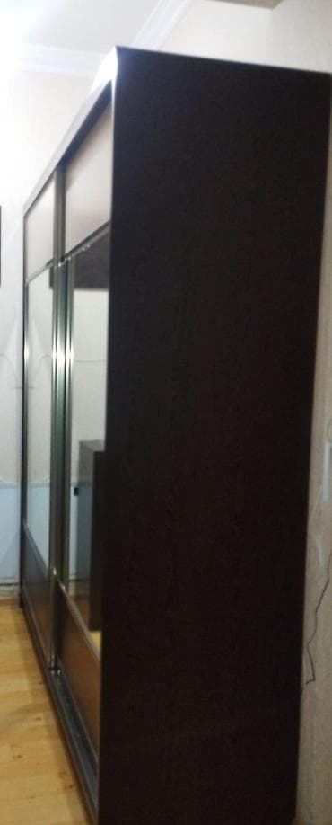 Dəhliz dolabları: İşlənmiş, 2 qapılı, Güzgülü, Kupe, Düz dolab — 1