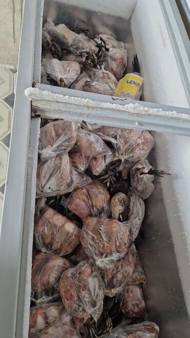 Məhsul: Dondurulmuş ov quşları (tam quş, paketlənmiş) Təsvir: - Dərin