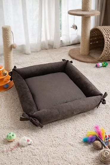 sahibsiz itler: Новые. təzə — 4