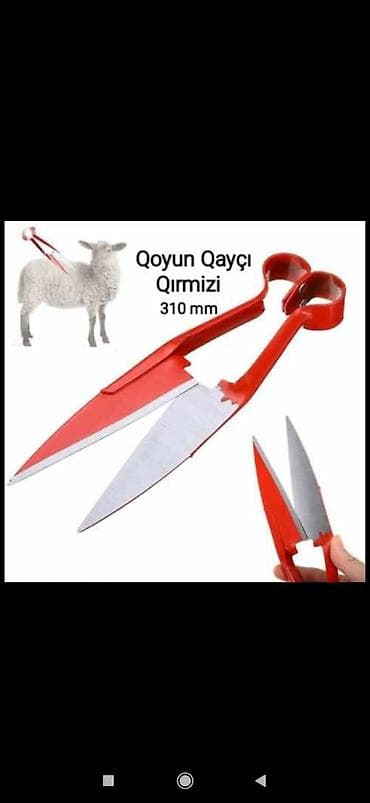 Qayçı qoyun qırxan toodan satış — 1