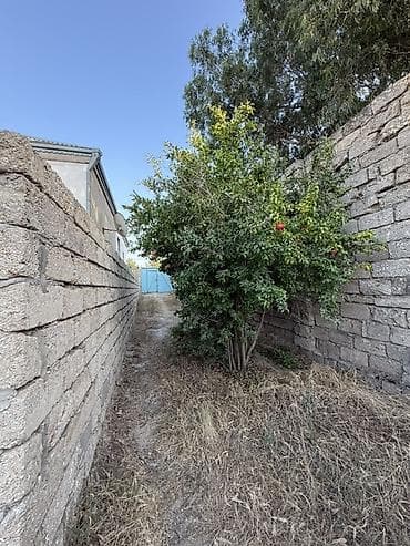 samaxida satilan evler: 4 sot, Tikinti, Kupça (Çıxarış) — 10
