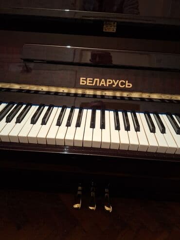 Kəsici disklər: Piano, Belarus, Akustik, Yeni, Pulsuz çatdırılma — 3