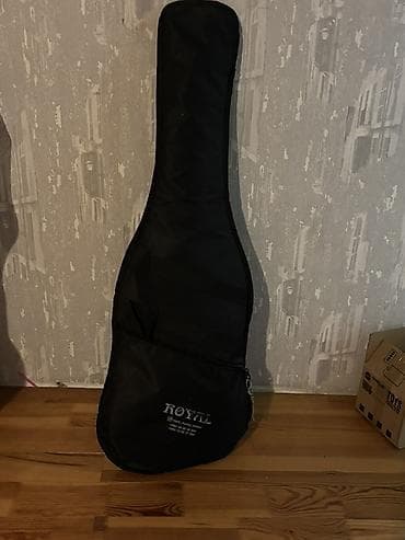 elektro gitarlar: Elektro gitar – Eko (Est. 1959) brendi, Strat tərzi gövdə dizaynı - — 1