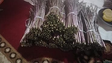 qida məhsullarının topdan satışı: Məhsul: Təbii yığılan yabanı quşqonmaz (asparagus) dəstələri Salam — 4