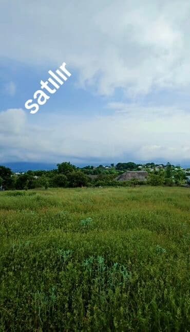 kend ehmedlide evler: 13 sot, Tikinti, Mülkiyyətçi, Kupça (Çıxarış) — 2