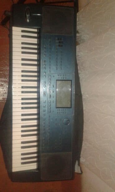 Звуковое оборудование: Kork pa 50 sade iki dili isdemir — 2