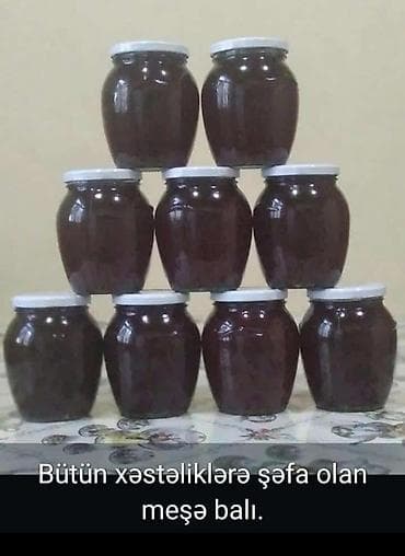 temiz bal: Temiz meşe balı isteyen müraciet etsin. Samur Yalama milli parkının — 1