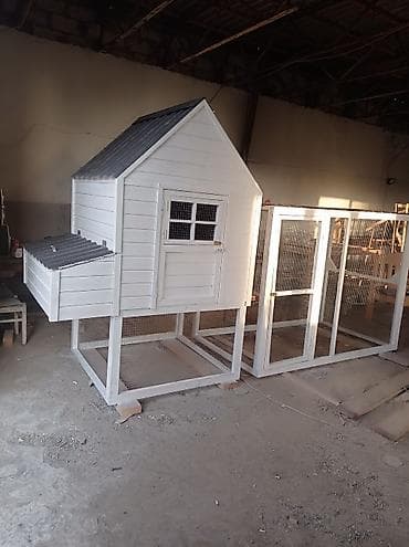 lelekli heyvanlar: Taxta toyuq evi və volyer komplekti - Material: keyfiyyətli taxta — 1