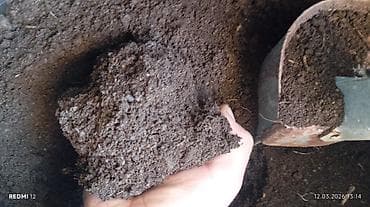 ayam cemani satilir: Torf balaken ekolayf perlitli torf peyin torpaq Məhsul: Bitki üçün — 2