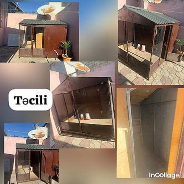 Cücə hinni və ya it damı kimi isdifadə edə bilərsiz Demir — 1