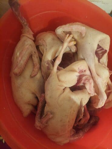 Ləpələr: Məhsul: Hazır təmizlənmiş ördək əti - Tam karkas şəklində, içalatı — 3