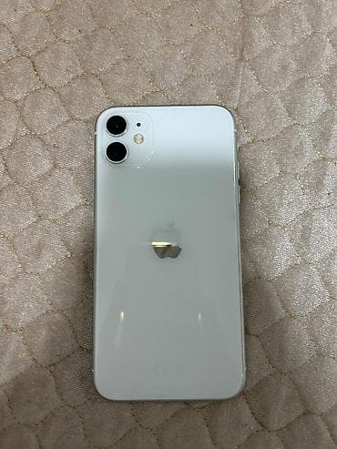 IPhone 11, Ağ