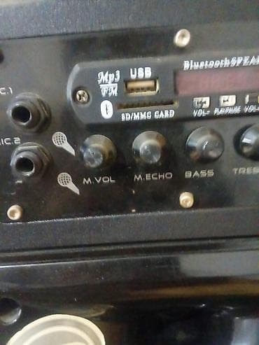 GEEPAS professional akustik sistemi + ZOOMYX (amfi/komb) səs — 1