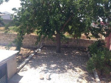 yeni güneşlide kiraye evler 2021: 320 kv. m, 7 otaqlı — 24