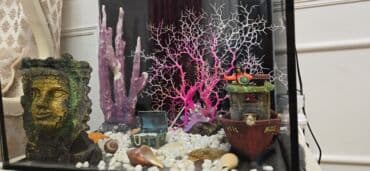 компрессор для аквариума бишкек: Akvaryum satılır – hər şey daxil - Şüşə akvarium, üstten filtrləmə — 2