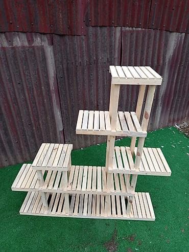 solmaz gülü: Gül rəfi — 5