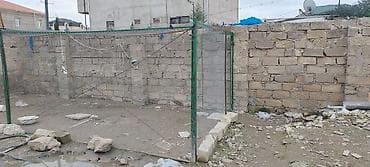 Xırda gözlü setka uqolnikdən yıgdırmışam xırda cücə ücündü quş krısa lalafo.az -da Xırda gözlü setka uqolnikdən yıgdırmışam xırda cücə ücündü quş krısa