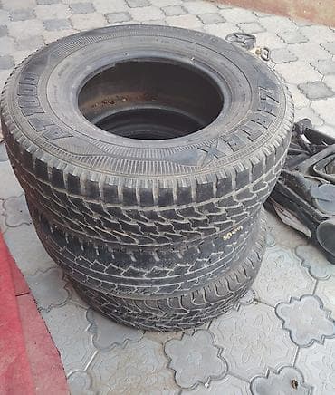 bakida karniz satisi: Şin R 15 — 1