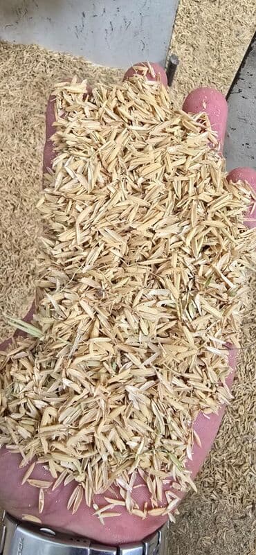 6 ton təmiz düyü qabığı – cəmi 1200 manat! 🚛 Çatdırılma daxil! ✅