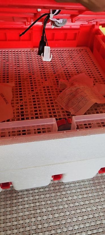 Elektron inkubator – polistirol korpuslu, rəqəmsal idarəetmə paneli — 1