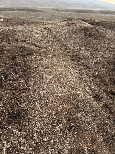 pəncərə toru: Təbii Quş gübrəsi - Məhsul: Quş Peyini - İstifadə sahələri: Tərəvəz — 2