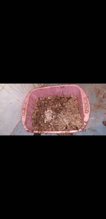 32 lik kombi: Ariston təmiri — 7