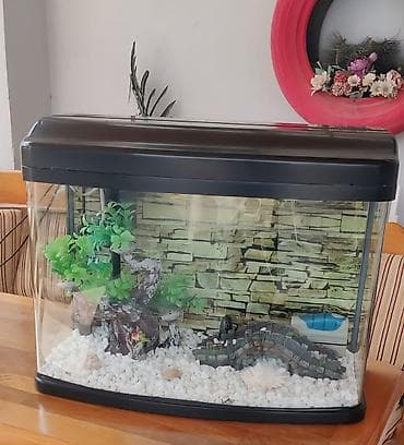 akva ayaqabılar: Ela veziyyetdedir. az iwlenib, icindeki ewyalarnan verilir — 1