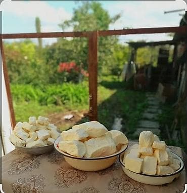 islenmis iran sobasi: Kənd Məhsulları Pendir Şor Topdan Satış.Pendir 4 manat Şor 2 manat — 1