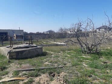 xacmaz makler: 12 sot, Makler, Kupça (Çıxarış) — 4