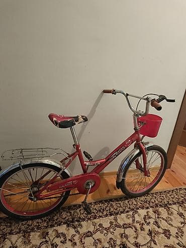 İki təkərli Uşaq velosipedi 20", sürətlərin sayı: 1