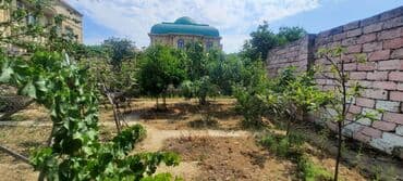 çıxarış nədir: 4 otaqlı, 110 kv. m, Kredit yoxdur, Orta təmir — 13