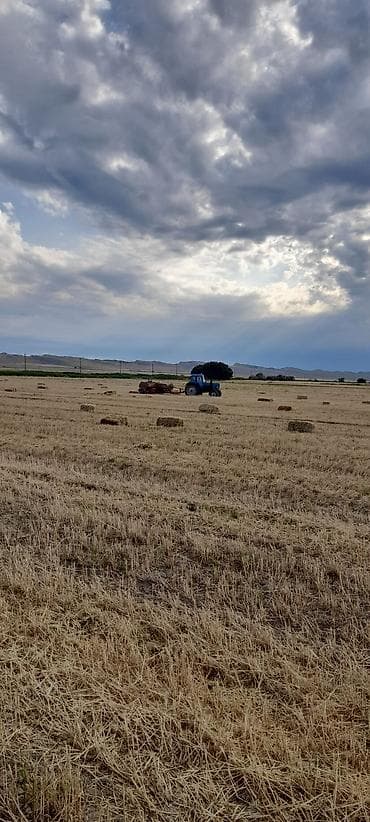 ev itleri ucuz: Cox tecili satilir 1500 1400 hec bir prablemi yoxdu ge bagla bax — 2