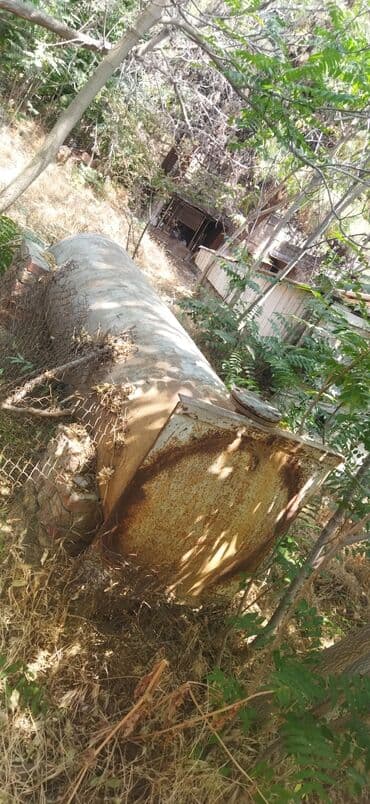 Семена: Бак, Металл — 2