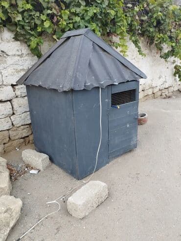 купить клетку для морской свинки: Taxta göyərçinxana / quşxana - Material: möhkəm taxta karkas — 5