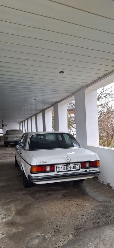 yeşqa mersedes: Mercedes-Benz 250: 2.5 l | 1981 il Sedan — 1