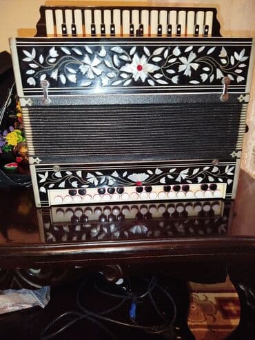 korg pa 1x: Гармонь, Акустический — 1